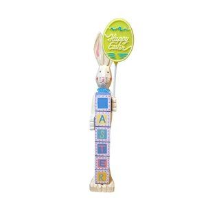 Easter Bunny Rabbit Holding Sign Letter Blocks